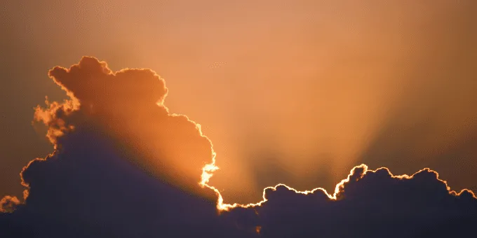 集光性蛍光染料