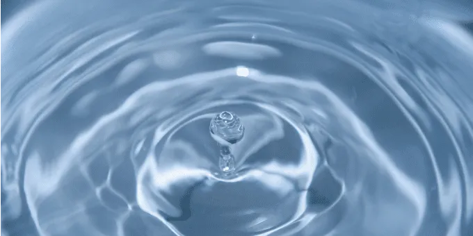 高い透明性と経済的